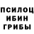Галлюциногенные грибы Magic Shrooms Xamro Nurmetov