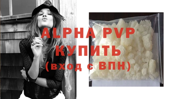 гашик Абаза