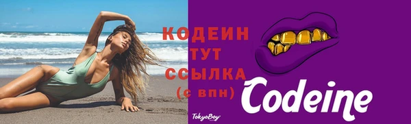 гашик Абаза